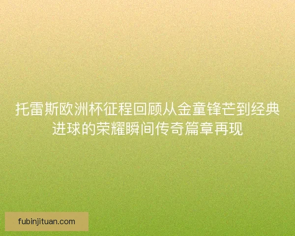 托雷斯欧洲杯征程回顾从金童锋芒到经典进球的荣耀瞬间传奇篇章再现