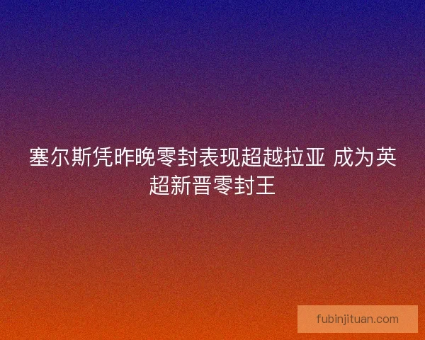 塞尔斯凭昨晚零封表现超越拉亚 成为英超新晋零封王